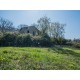 Properties for Sale_FARMHOUSE FOR SALE IN LAPEDONA IN THE MARCHE REGION,this beautiful farmhouse is to be restored in Le Marche_11